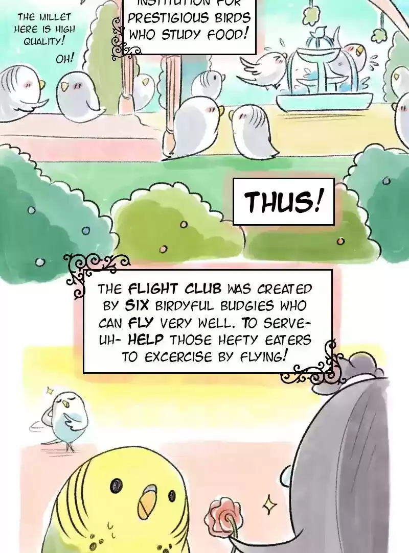 A Budgie's Life Chapter 63: Ep.63: