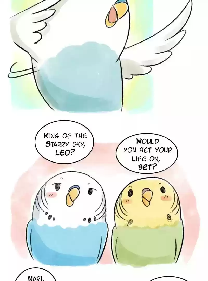 A Budgie's Life Chapter 63: Ep.63: