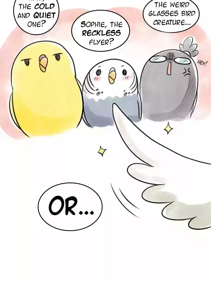 A Budgie's Life Chapter 63: Ep.63: