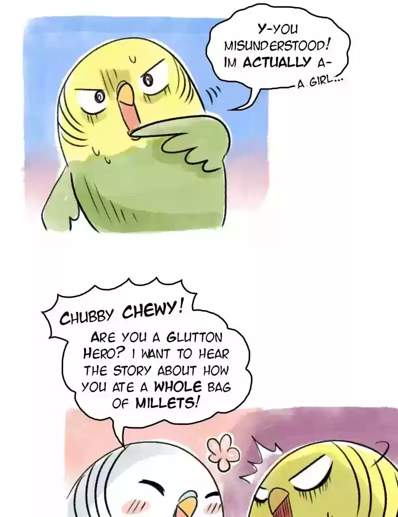 A Budgie's Life Chapter 63: Ep.63: