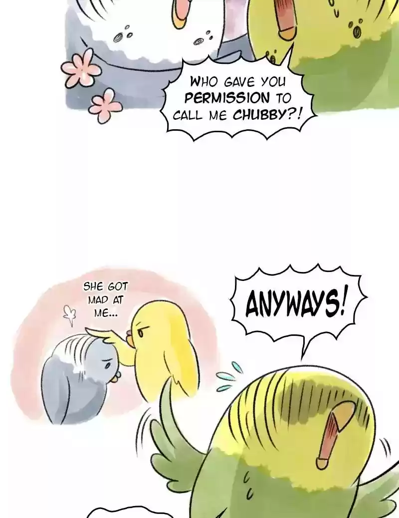 A Budgie's Life Chapter 63: Ep.63: