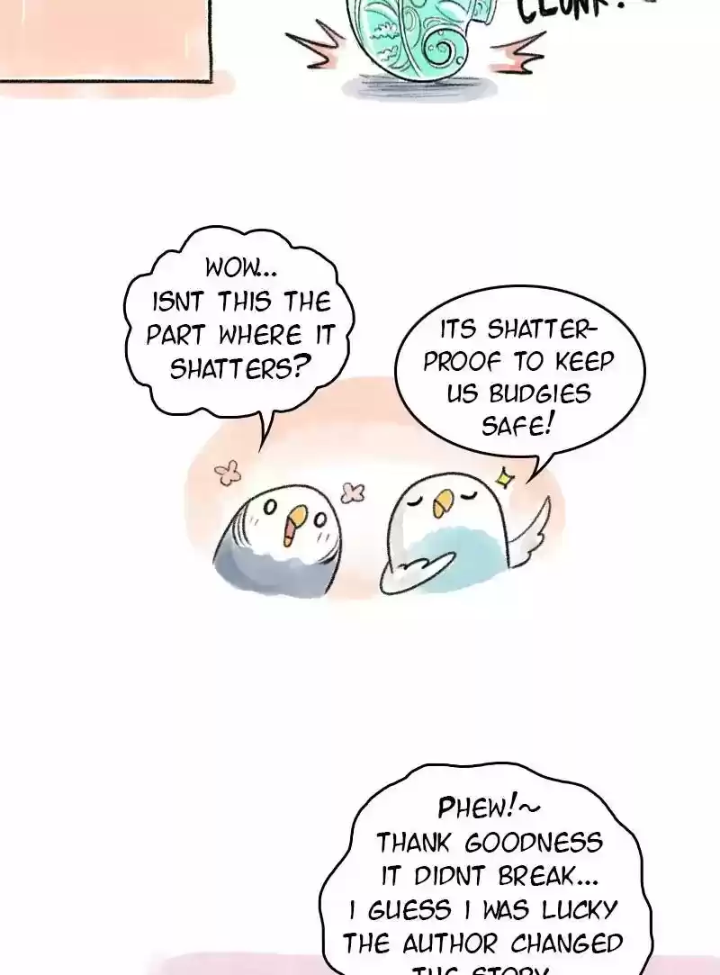 A Budgie's Life Chapter 63: Ep.63: