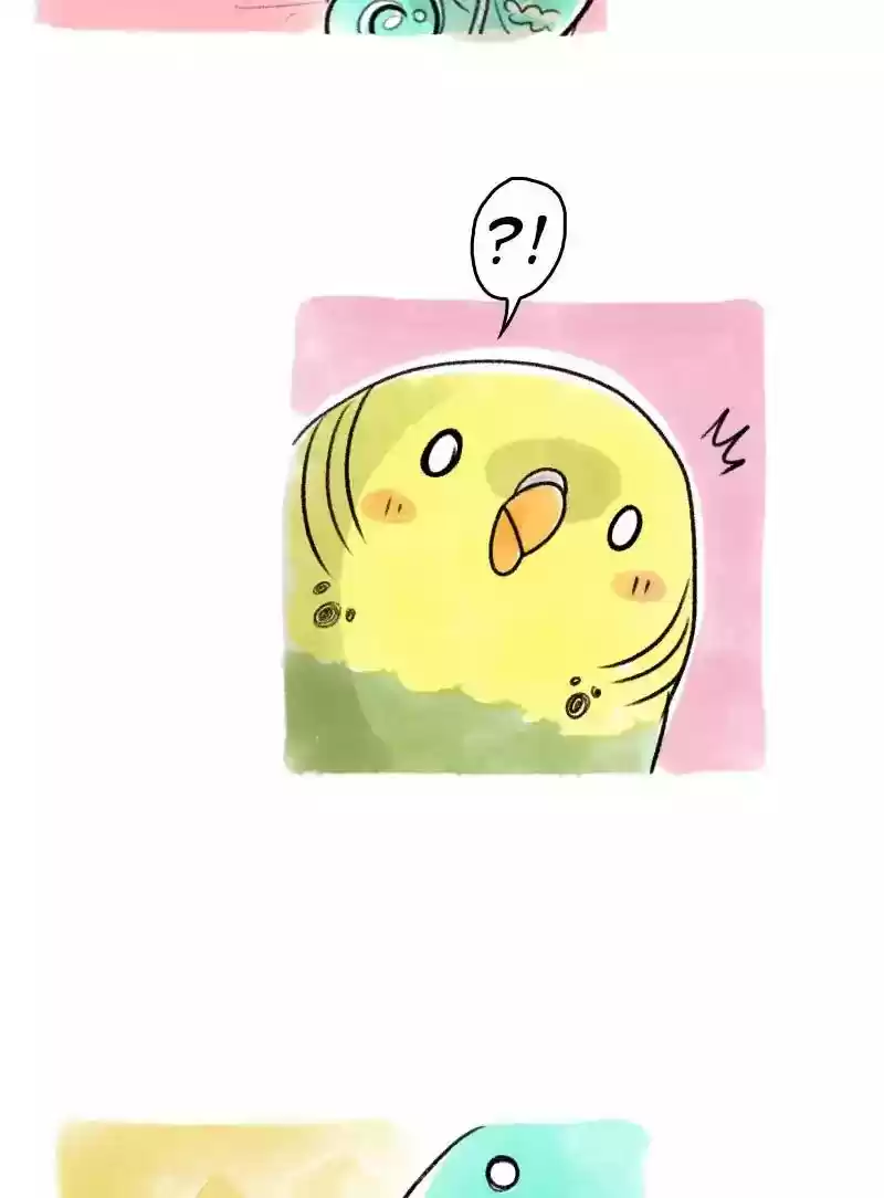A Budgie's Life Chapter 63: Ep.63: