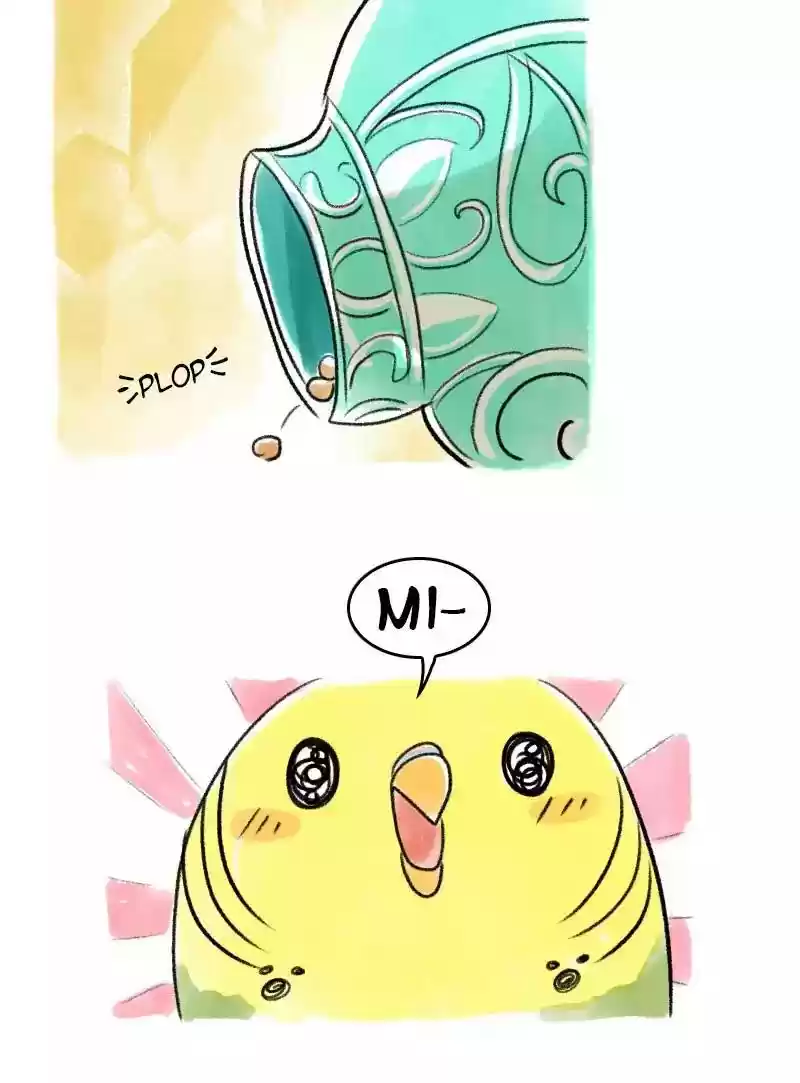 A Budgie's Life Chapter 63: Ep.63: