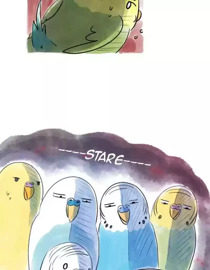 A Budgie's Life Chapter 63: Ep.63: