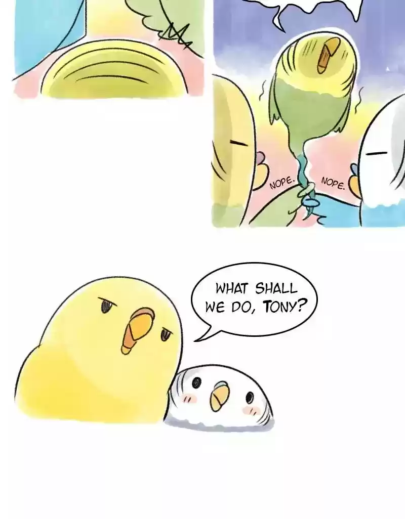 A Budgie's Life Chapter 63: Ep.63: