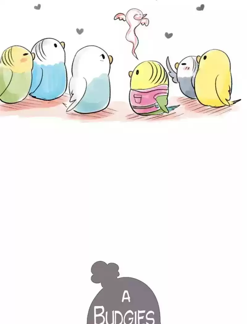 A Budgie's Life Chapter 63: Ep.63: