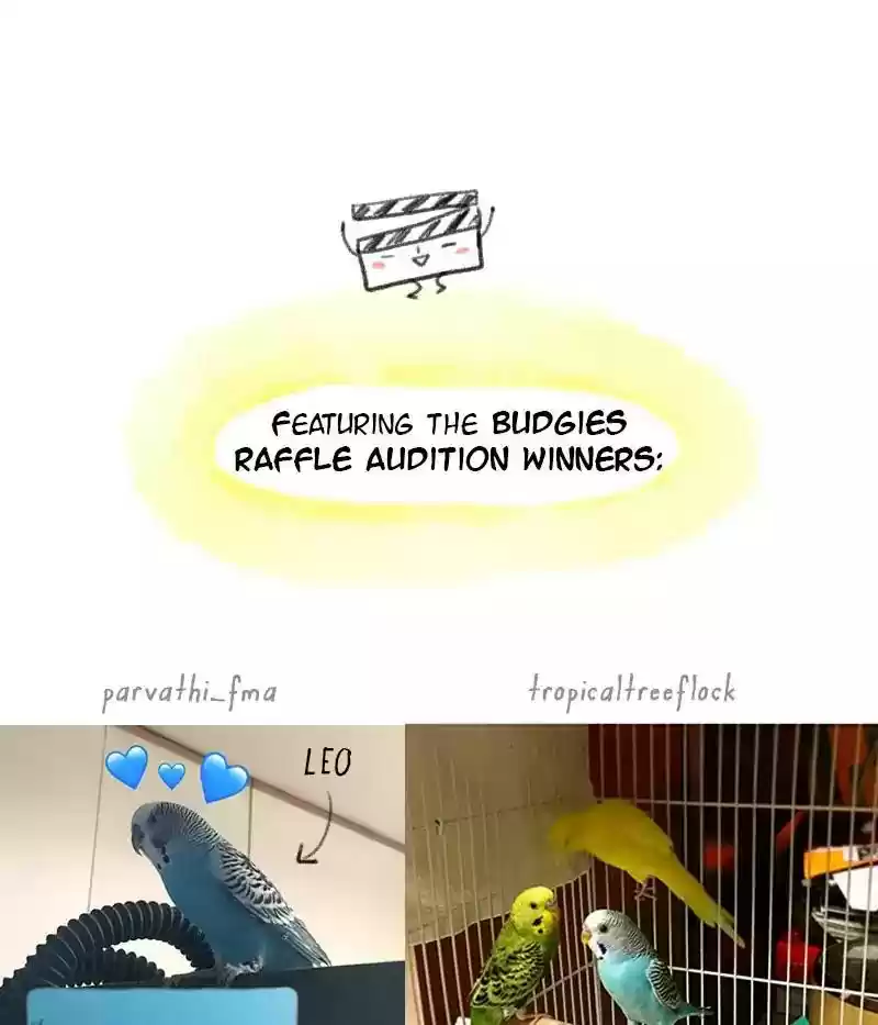 A Budgie's Life Chapter 63: Ep.63: