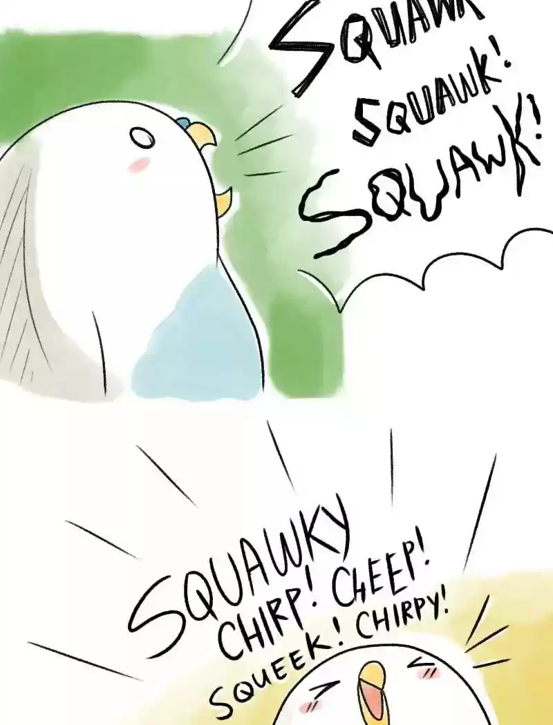 A Budgie's Life Chapter 64: Ep.64: