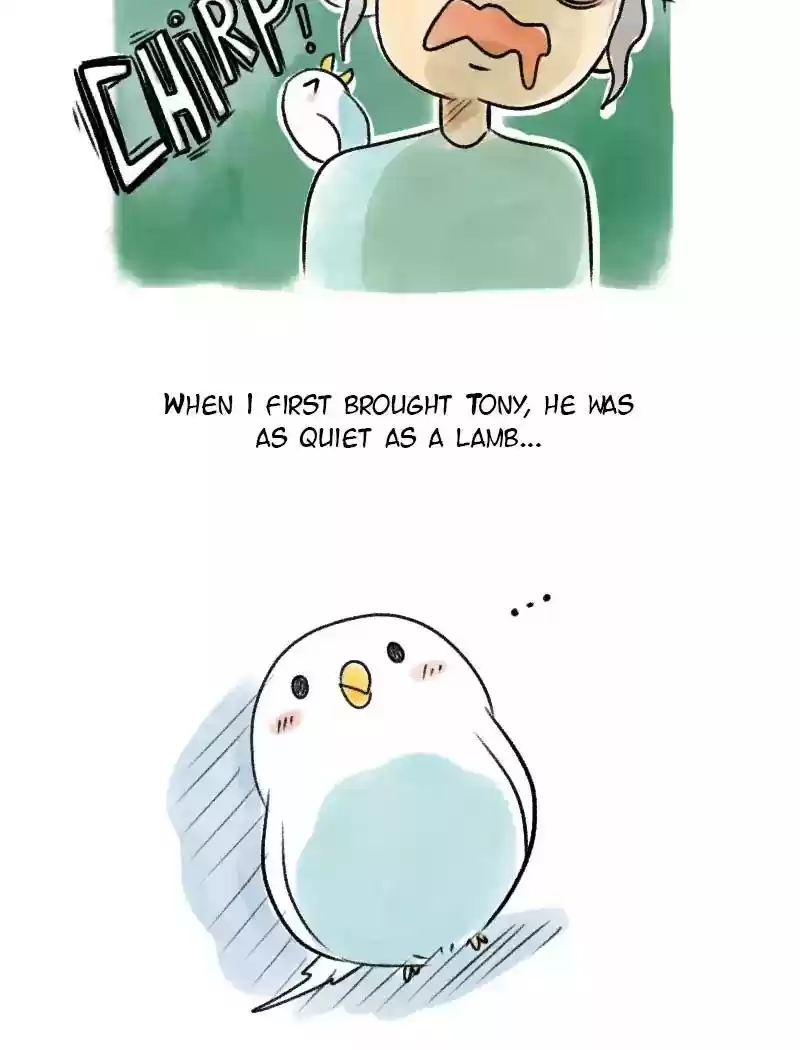 A Budgie's Life Chapter 64: Ep.64: