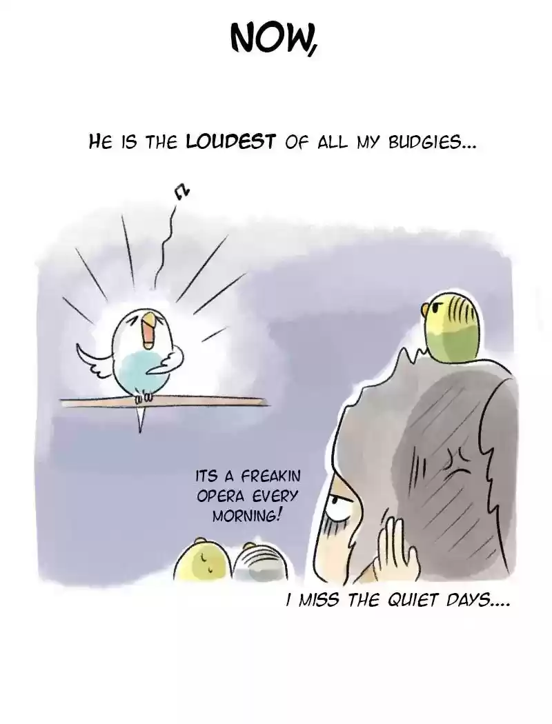A Budgie's Life Chapter 64: Ep.64: