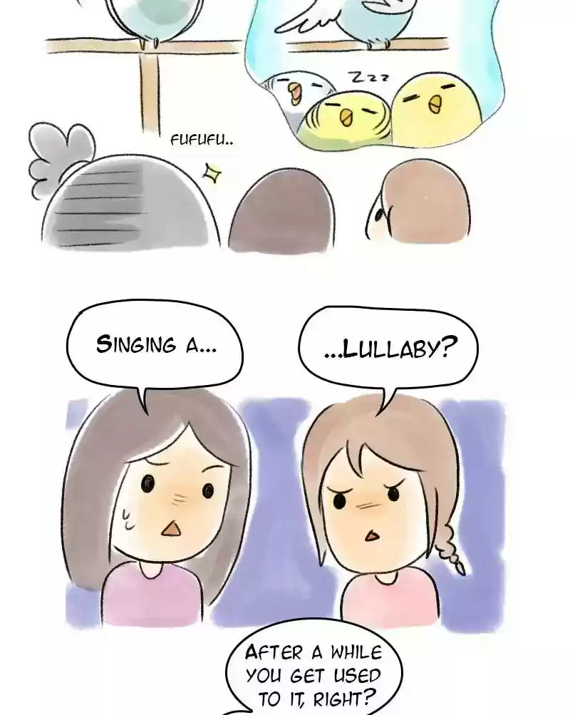 A Budgie's Life Chapter 64: Ep.64: