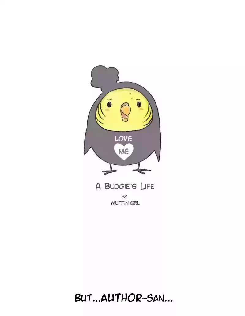 A Budgie's Life Chapter 64: Ep.64: