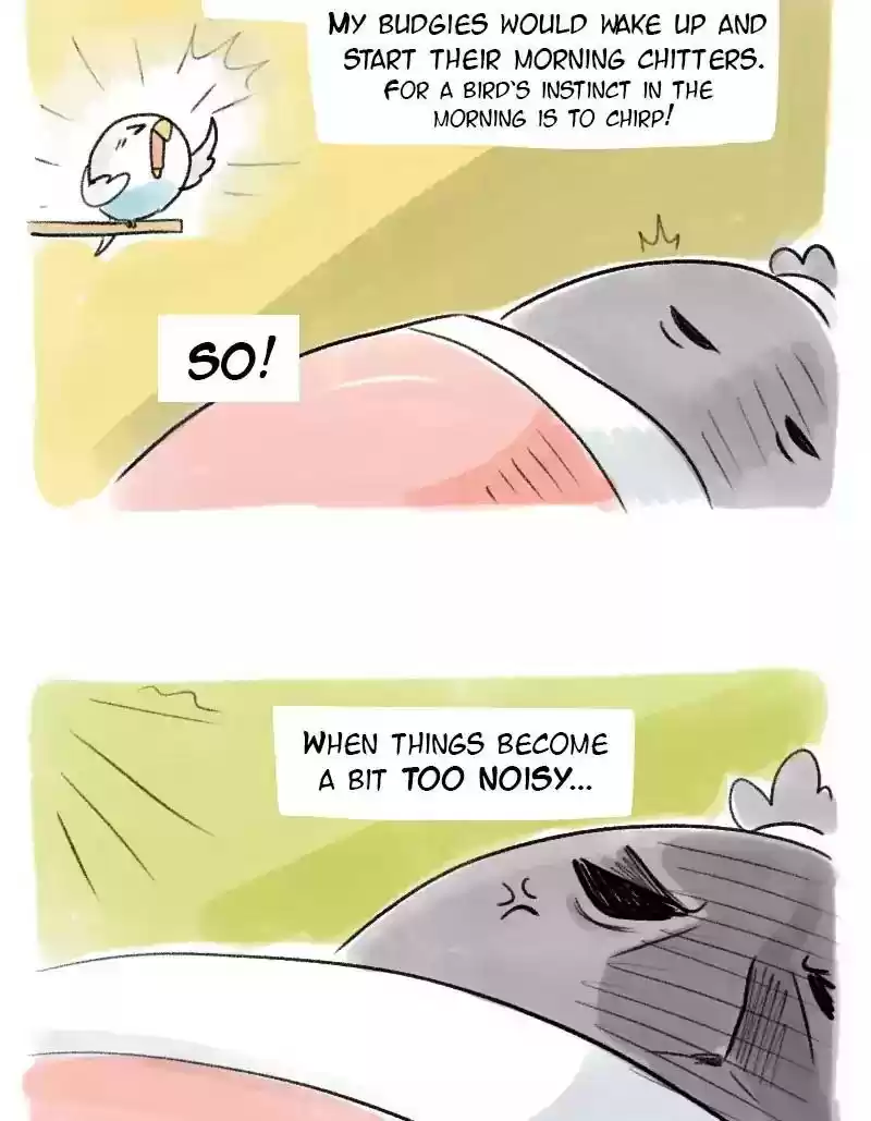 A Budgie's Life Chapter 64: Ep.64: