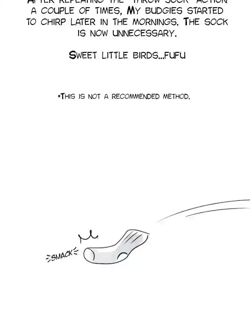 A Budgie's Life Chapter 64: Ep.64: