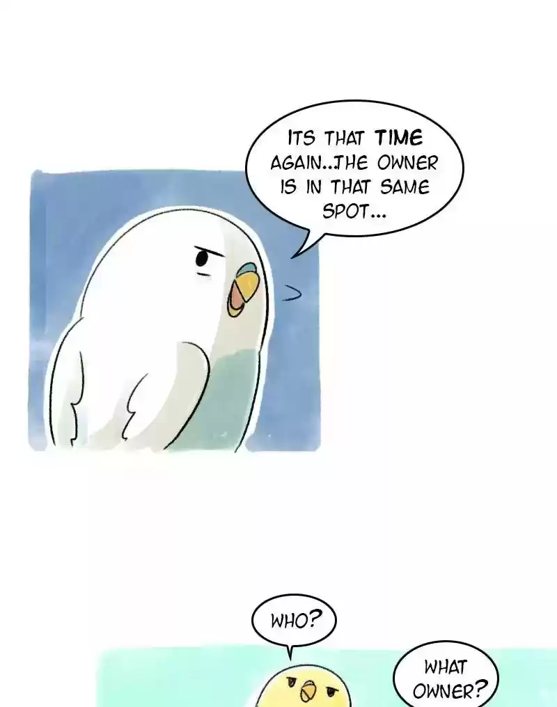 A Budgie's Life Chapter 65: Ep.65:
