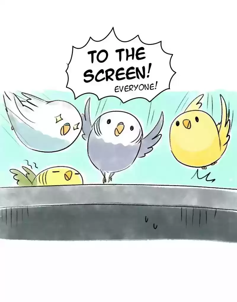 A Budgie's Life Chapter 65: Ep.65: