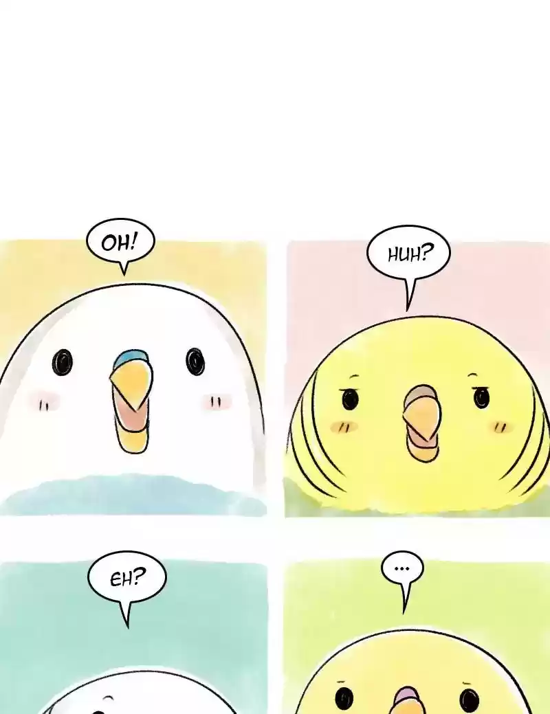 A Budgie's Life Chapter 65: Ep.65: