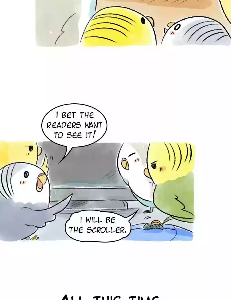 A Budgie's Life Chapter 65: Ep.65: