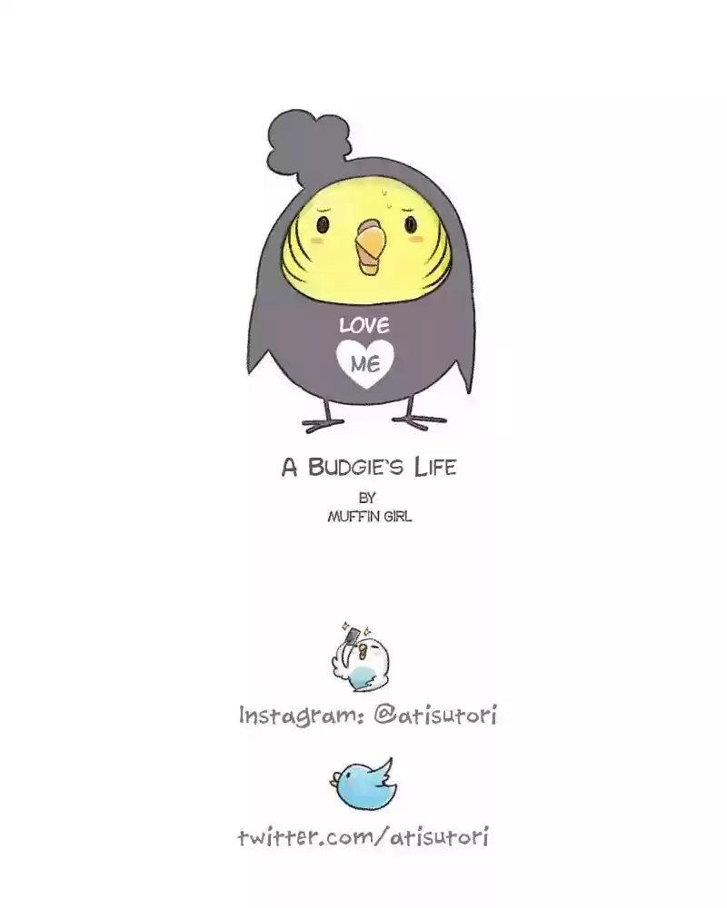 A Budgie's Life Chapter 65: Ep.65: