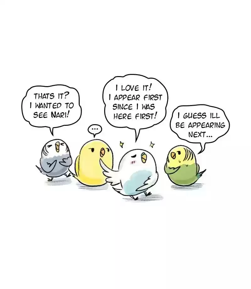 A Budgie's Life Chapter 65: Ep.65: