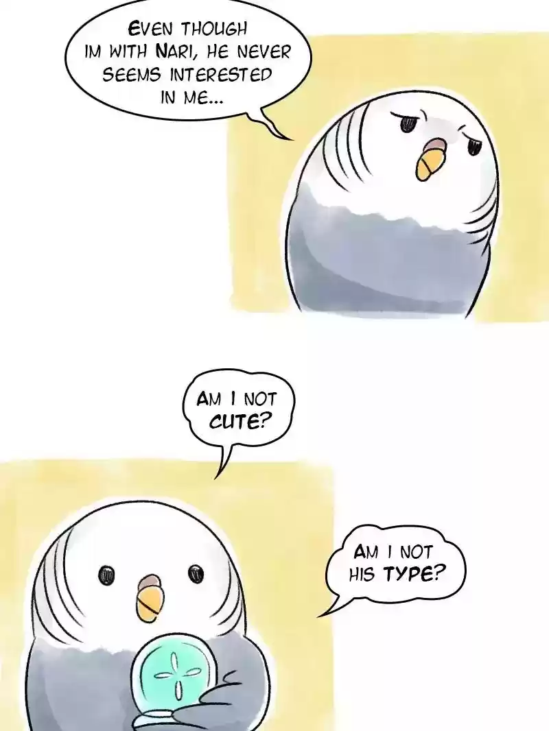 A Budgie's Life Chapter 66: Ep.66:
