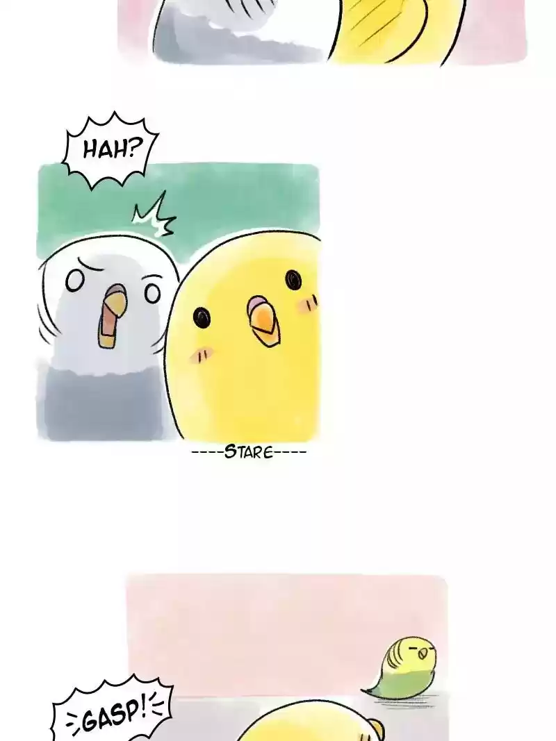A Budgie's Life Chapter 66: Ep.66: