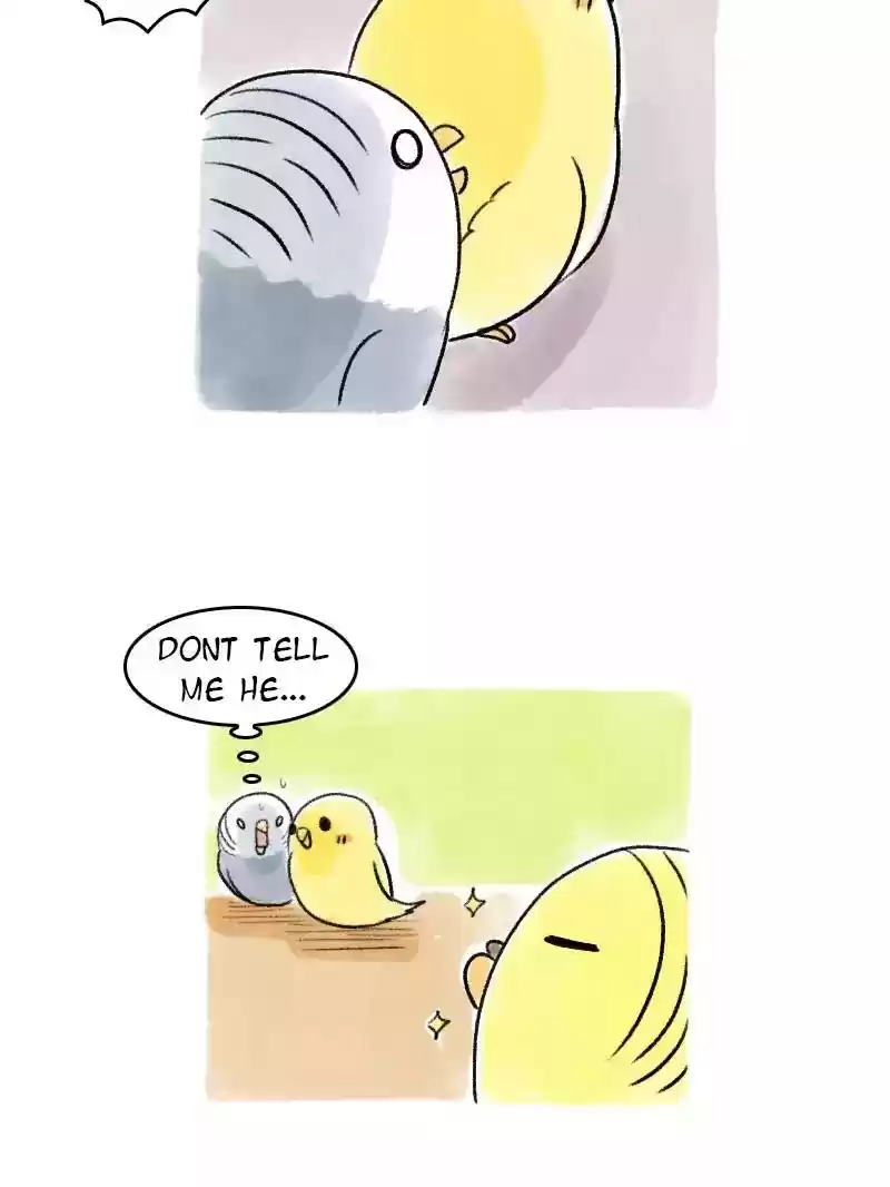 A Budgie's Life Chapter 66: Ep.66: