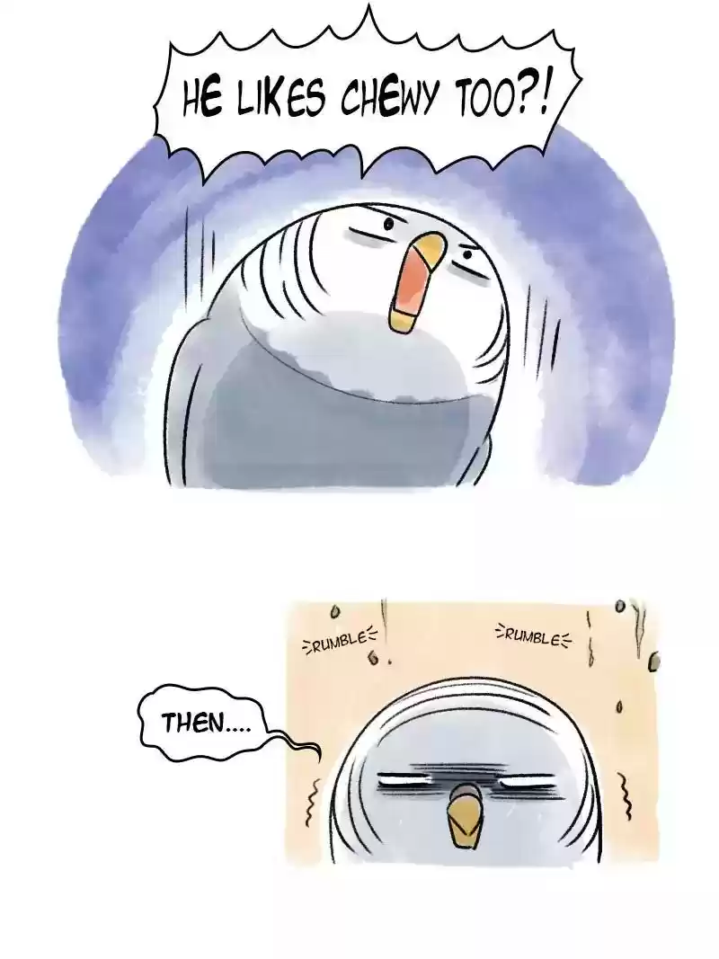 A Budgie's Life Chapter 66: Ep.66: