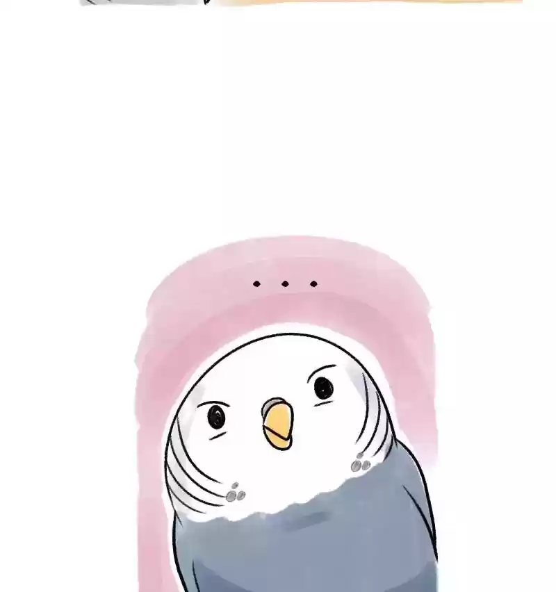 A Budgie's Life Chapter 66: Ep.66: