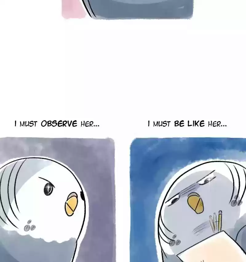 A Budgie's Life Chapter 66: Ep.66: