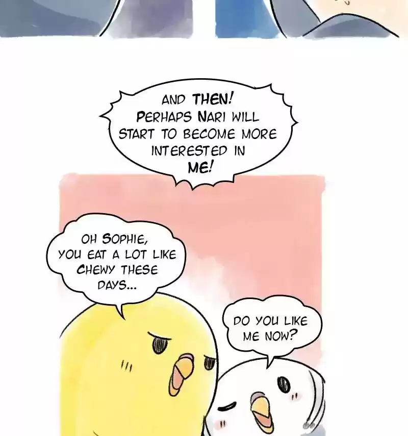 A Budgie's Life Chapter 66: Ep.66: