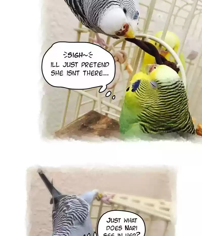 A Budgie's Life Chapter 66: Ep.66: