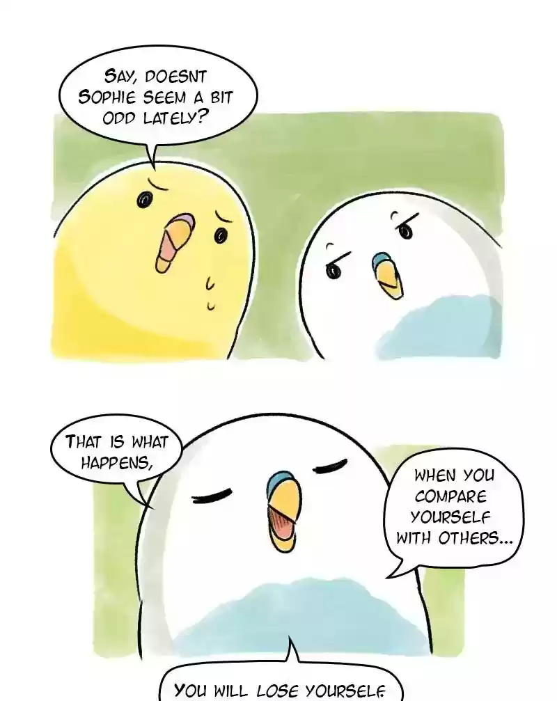 A Budgie's Life Chapter 66: Ep.66: