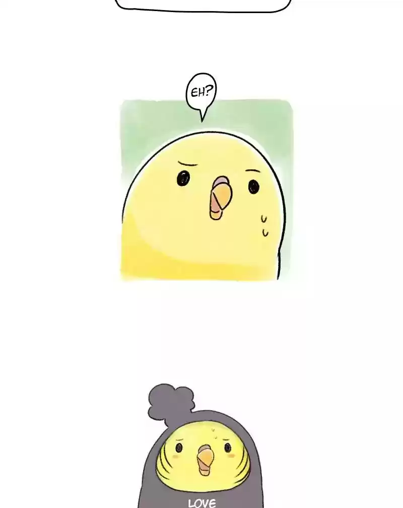 A Budgie's Life Chapter 66: Ep.66: