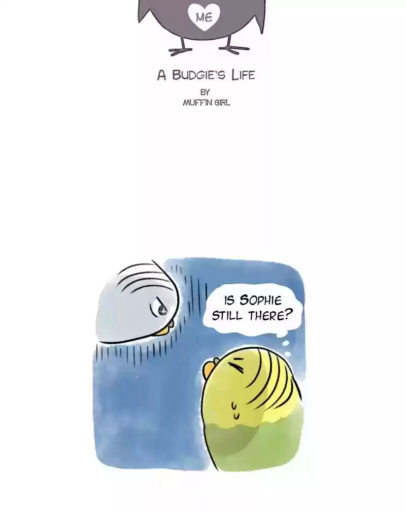A Budgie's Life Chapter 66: Ep.66: