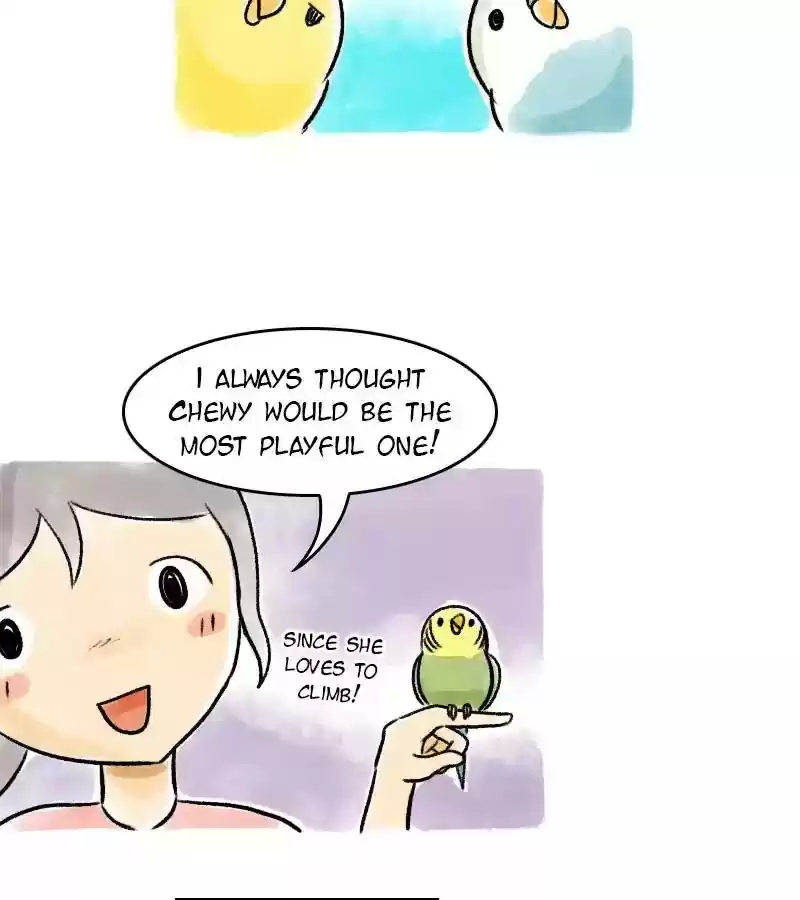 A Budgie's Life Chapter 67: Ep.67: