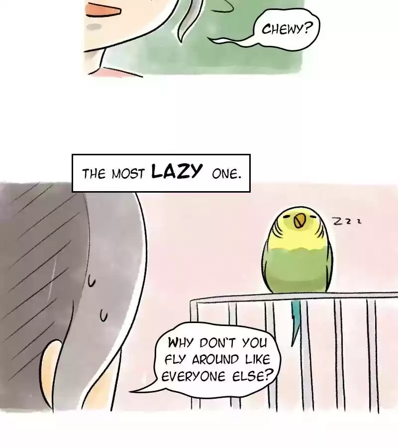 A Budgie's Life Chapter 67: Ep.67: