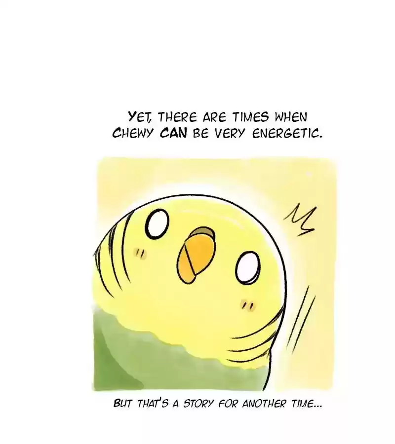 A Budgie's Life Chapter 67: Ep.67: