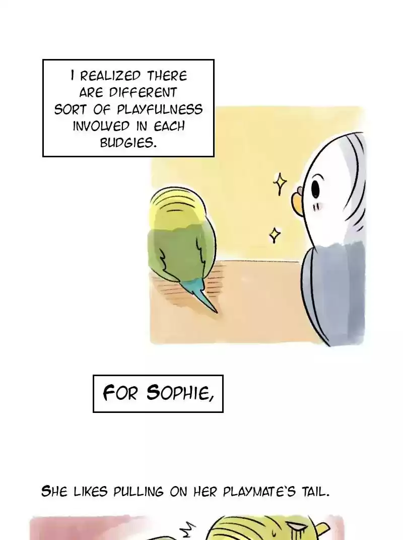 A Budgie's Life Chapter 67: Ep.67: