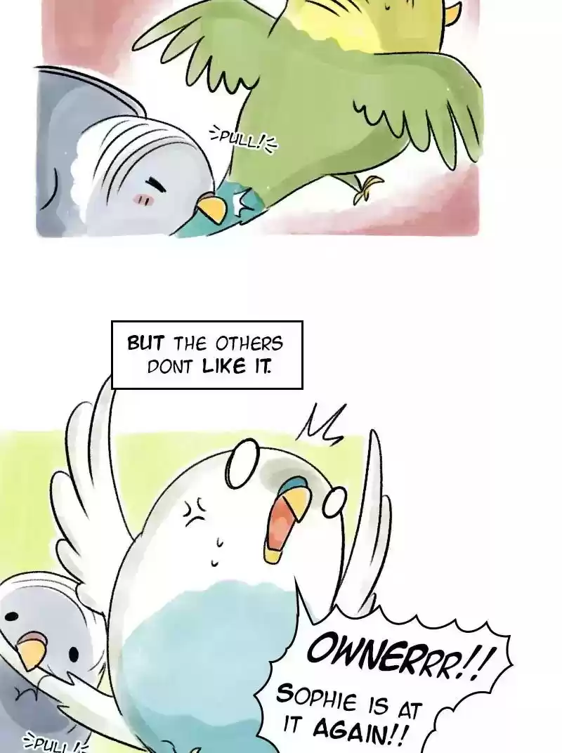A Budgie's Life Chapter 67: Ep.67: