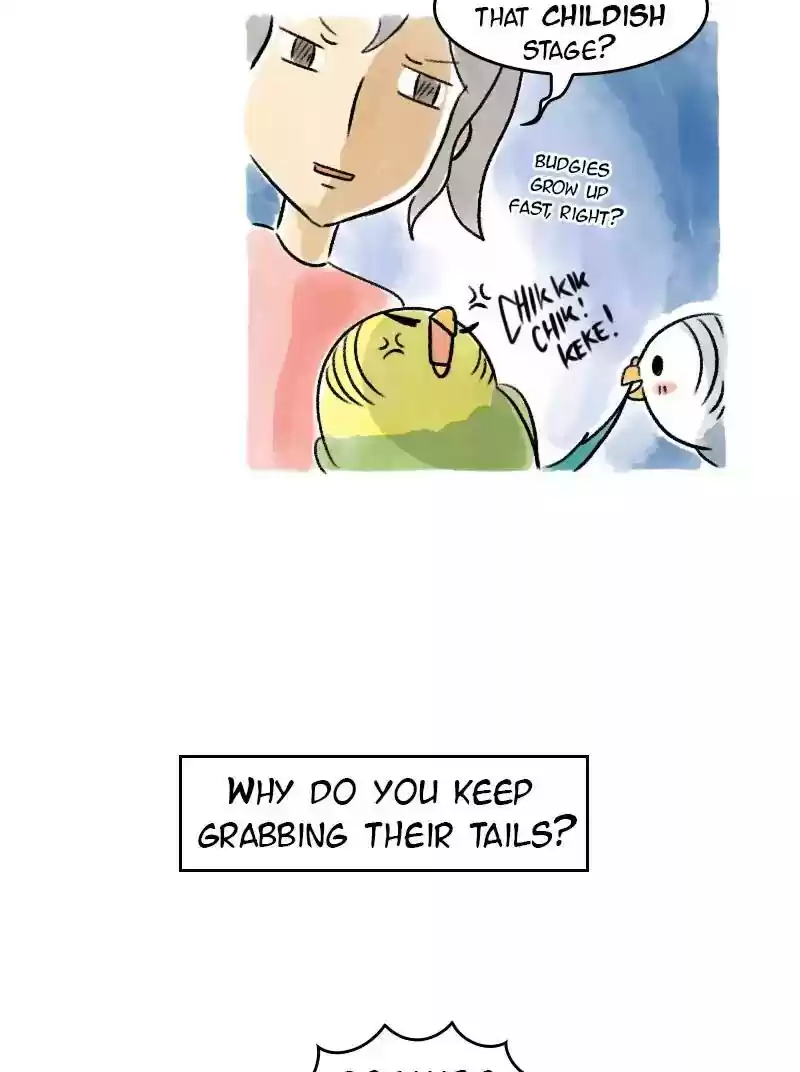A Budgie's Life Chapter 67: Ep.67: