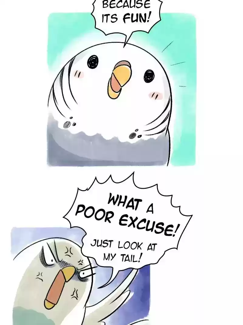 A Budgie's Life Chapter 67: Ep.67: