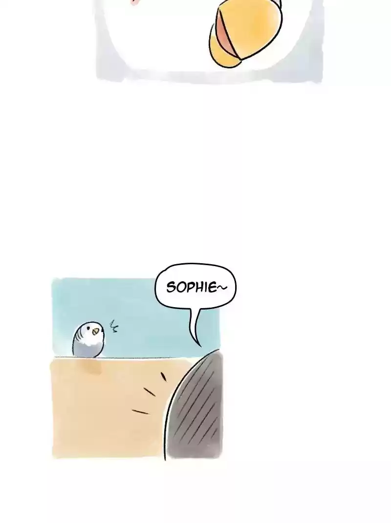 A Budgie's Life Chapter 67: Ep.67: