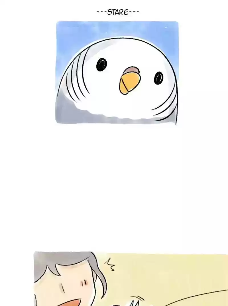A Budgie's Life Chapter 67: Ep.67: