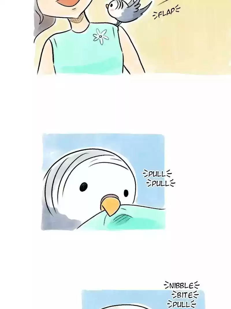 A Budgie's Life Chapter 67: Ep.67: