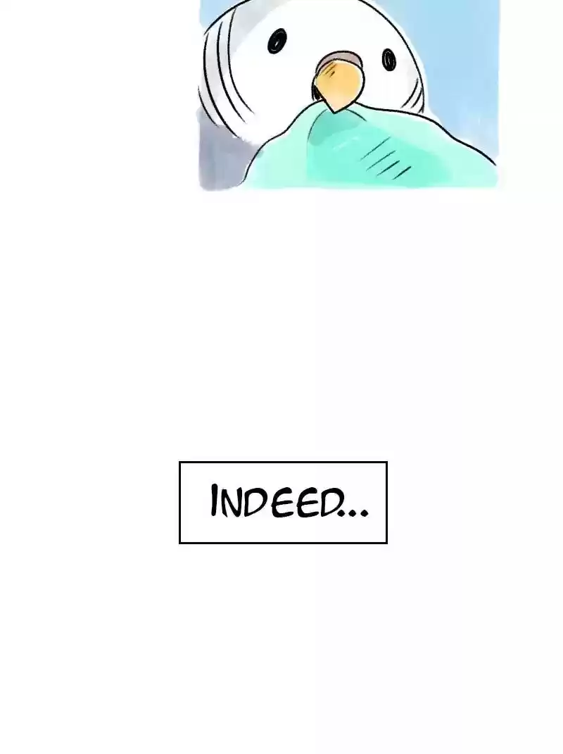 A Budgie's Life Chapter 67: Ep.67: