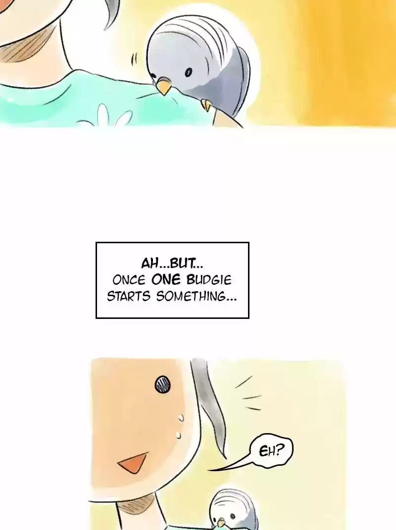 A Budgie's Life Chapter 67: Ep.67: