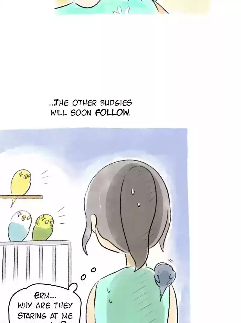 A Budgie's Life Chapter 67: Ep.67: