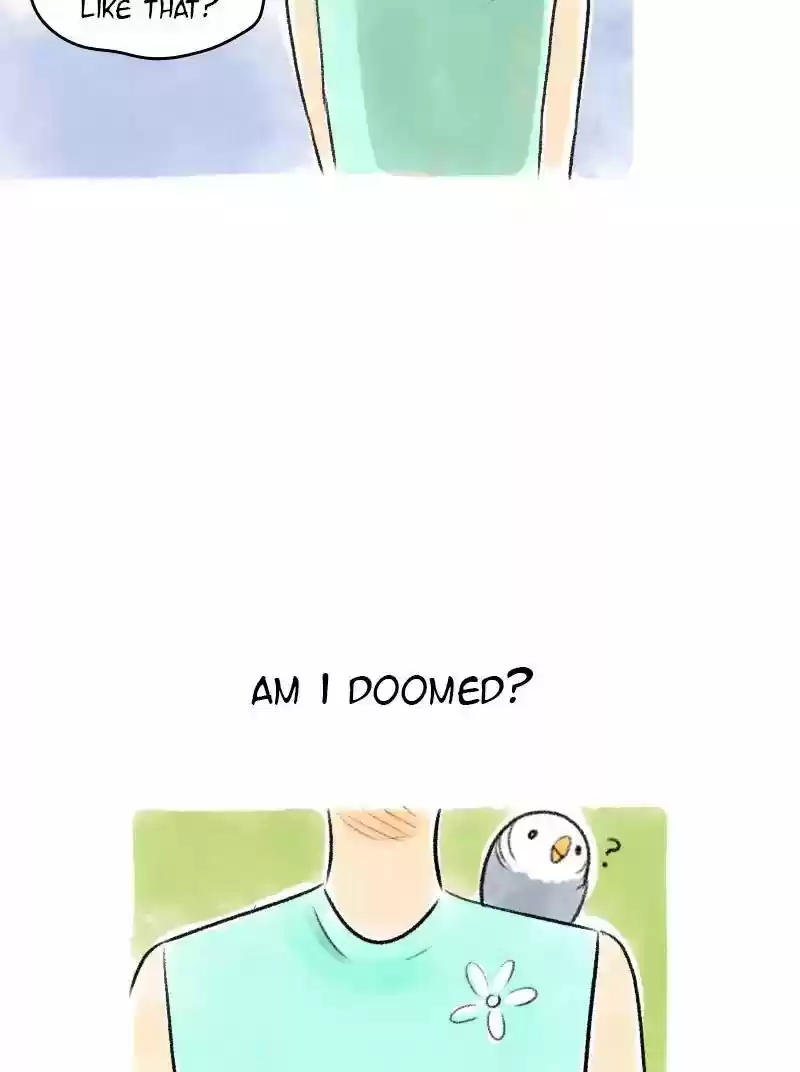 A Budgie's Life Chapter 67: Ep.67: